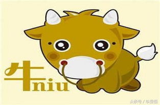 牛近期運(yùn)勢如何（牛在今年運(yùn)勢怎么樣）