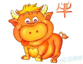 2017的生肖運(yùn)勢(shì)如何（2017年生肖屬啥）