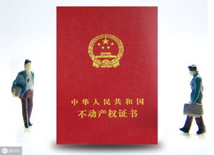 怎么辦理房產(chǎn)共有,怎么辦理房產(chǎn)共有產(chǎn)權(quán)證