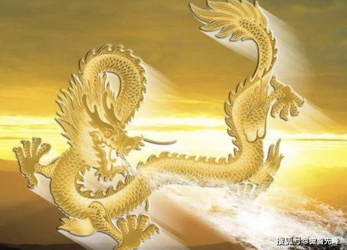 2022屬龍運(yùn)勢(shì)如何（2022年屬龍運(yùn)勢(shì)如何）