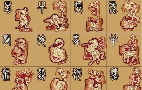 屬鼠人前十年運勢如何（屬鼠十年運勢和財運）