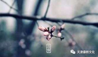2019立春如何旺運勢（2021年立春之日怎么開運）