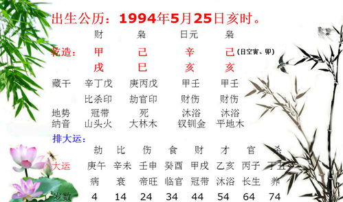 辛亥日生人運勢如何（辛亥日生人命運）