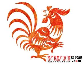 屬雞17年運(yùn)勢(shì)如何（屬雞的2017年運(yùn)勢(shì)如何）