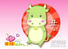 屬牛愛情運勢如何（屬牛的愛情運勢怎么樣）