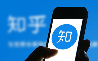 匯旺擔保做什么項目賺錢,匯旺是合法的嗎