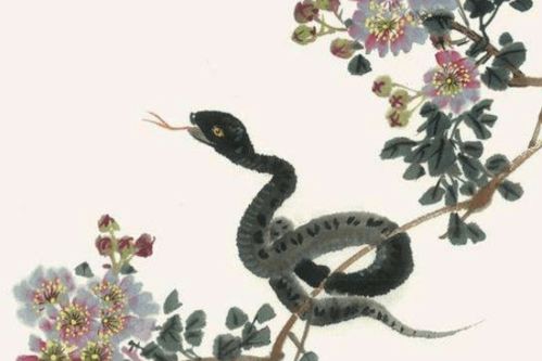 屬蛇運(yùn)勢(shì)一生運(yùn)勢(shì)如何呢（屬蛇的運(yùn)勢(shì)及運(yùn)程）