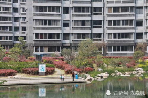 小區(qū)有什么好的賺錢項目,小區(qū)有什么掙錢的項目