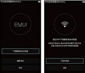 華為手機重啟該如何恢復,華為手機重啟該如何恢復系統(tǒng) 華為手機重啟該如何恢復,華為手機重啟該如何恢復系統(tǒng)