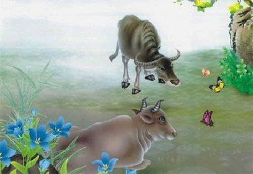 屬?；⒛晁脑逻\(yùn)勢(shì)如何（屬牛人陽歷四月運(yùn)勢(shì)）