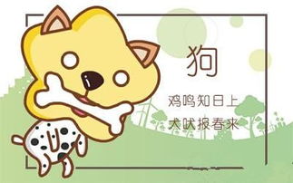 屬狗出生每月運(yùn)勢(shì)如何（屬狗的每月出生運(yùn)勢(shì)）