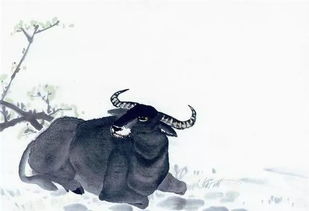 牛人每月生人運(yùn)勢(shì)如何（牛人每月生人運(yùn)勢(shì)如何看）