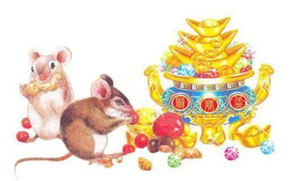 鼠運(yùn)勢(shì)2017運(yùn)勢(shì)如何（屬鼠2017年運(yùn)勢(shì)及運(yùn)程每月運(yùn)程）