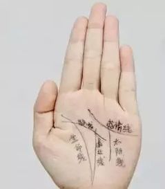 大官的財(cái)富運(yùn)勢如何（當(dāng)大官大富大貴的手相）