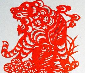 肖虎未來運勢如何（肖虎未來運勢如何）