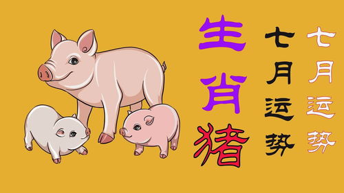 生肖豬7月6日運(yùn)勢(shì)如何（屬豬的七月運(yùn)勢(shì)）