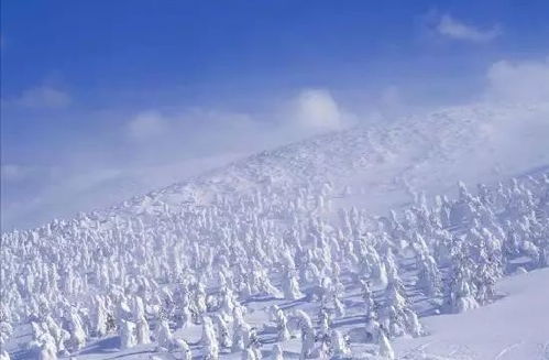 雪地景色如何拍華為視頻,華為雪景怎么拍