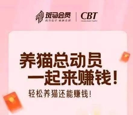 賺錢項目轉(zhuǎn)給你什么意思,賺錢項目轉(zhuǎn)給你什么意思啊