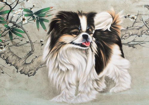 屬狗人遇雞年運(yùn)勢(shì)如何（屬狗遇雞年運(yùn)勢(shì)怎么樣）