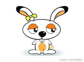 2019年兔子的運(yùn)勢(shì)如何（2019年生肖兔的全年運(yùn)勢(shì)）