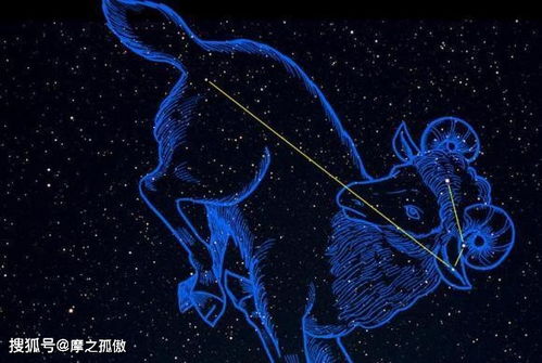 你知道白羊座運勢如何（白羊座的運勢第一星座網(wǎng)）
