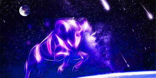 一月份什么星座配對,一月份的星座和什么星座配