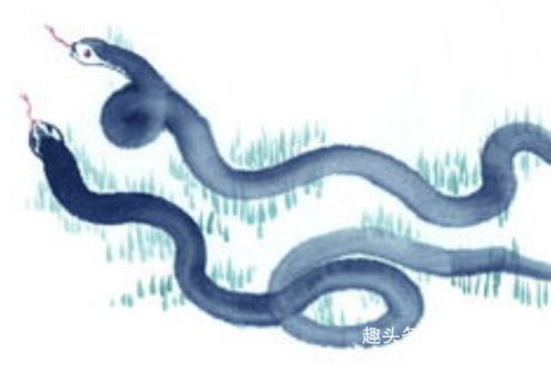 屬雞遇蛇運勢如何（屬雞遇見屬蛇的人會有好運嗎?）