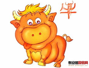 1997屬牛人運勢如何（1997屬牛的運勢怎么樣）