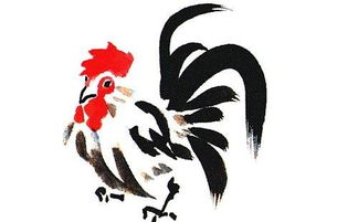 生肖雞昨天運(yùn)勢(shì)如何（生肖雞昨天運(yùn)勢(shì)如何呢）