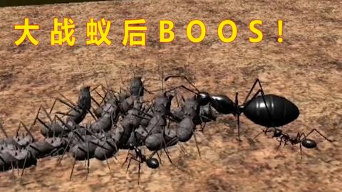 蟻兵游戲有哪些,螞蟻 兵蟻 蟻兵游戲有哪些,螞蟻 兵蟻