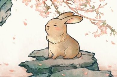 屬兔在虎年運(yùn)勢如何呢（屬兔的在虎年運(yùn)勢如何）