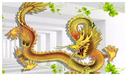 龍年蛇年交替運(yùn)勢如何（龍年跟蛇年的在一起會(huì)怎樣）