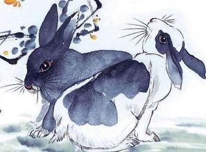 鼠年2月28日運(yùn)勢(shì)如何（屬鼠二月二十八生人命運(yùn)如何）