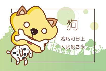 82屬狗運(yùn)勢如何（屬狗運(yùn)勢82年的）