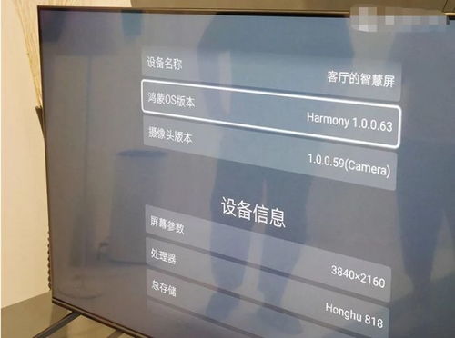 華為手機如何升級鴻蒙版,華為手機升級鴻蒙版后如何把移動數(shù)據(jù)切換成5G