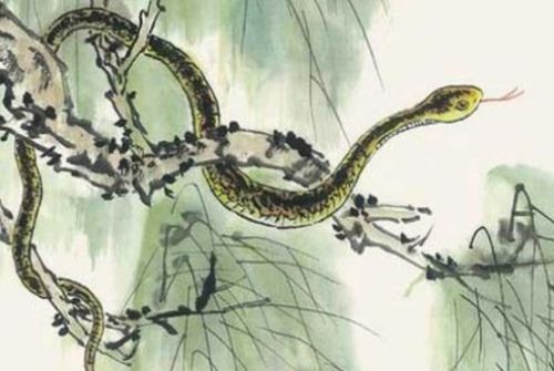 屬蛇財(cái)運(yùn)運(yùn)勢(shì)如何（屬蛇的財(cái)運(yùn)怎么樣2021）