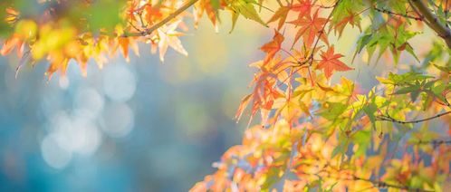 如何改變秋季運(yùn)勢呢（秋天運(yùn)氣不好）