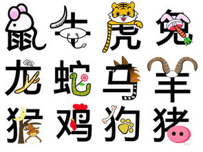 屬相運(yùn)勢(shì)如何（屬相運(yùn)勢(shì)如何化解）