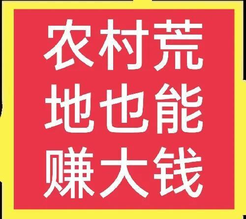 什么項目賺錢又省錢又少,什么項目賺錢又省錢又少賺錢