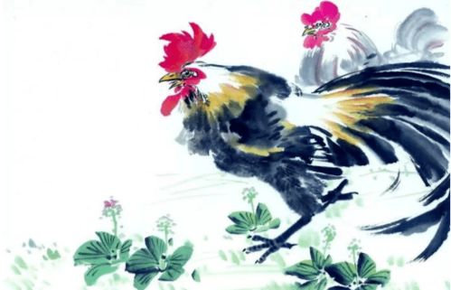 生肖雞本周運(yùn)勢(shì)如何（屬雞本周財(cái)運(yùn)如何）