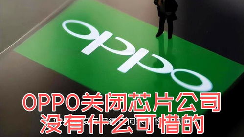 杭州有沒有什么賺錢項目,杭州搞什么賺錢