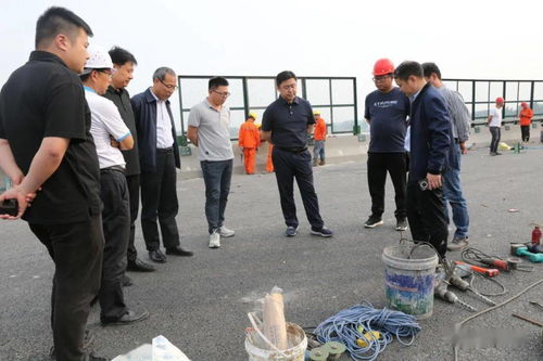 生物工程做什么項目賺錢,生物工程做什么項目賺錢多