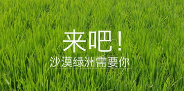 五十畝地搞什么項目賺錢,50畝地能做什么項目