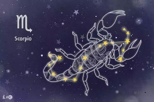什么星座吸引天蝎男,哪幾個(gè)星座吸引天蝎男