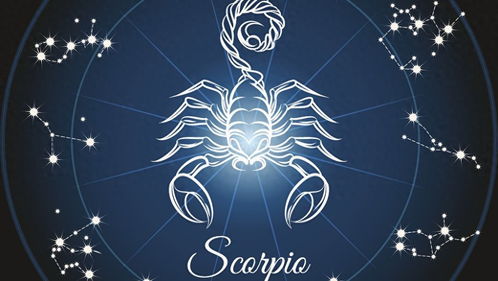 女天蝎與什么星座男配,天蝎女和啥星座男配