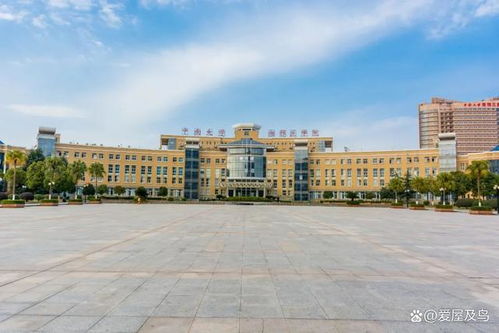 普通大學如何進華為工作,大學生怎么進華為