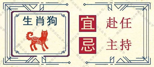 運(yùn)勢(shì)生肖下周運(yùn)勢(shì)如何看（屬相下周運(yùn)勢(shì)）