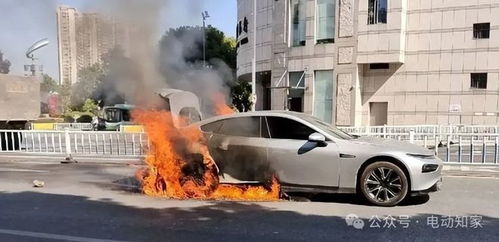 重慶每年汽車起火多少例,重慶車子起火