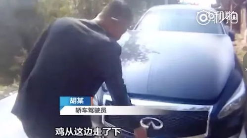 汽車走保險可以報銷多少,汽車走保險可以報銷多少錢啊 汽車走保險可以報銷多少,汽車走保險可以報銷多少錢啊