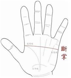 男人斷掌的運勢如何（男人斷掌在相學上有什么說法）